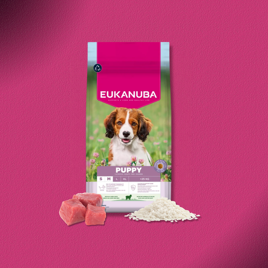 2x12kg Eukanuba Premium Nutrition Puppy Small & Medium Breed Lamm & Reis