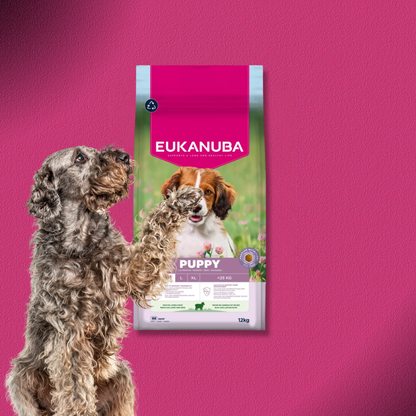 2x12kg Eukanuba Premium Nutrition Puppy Small & Medium Breed Lamm & Reis