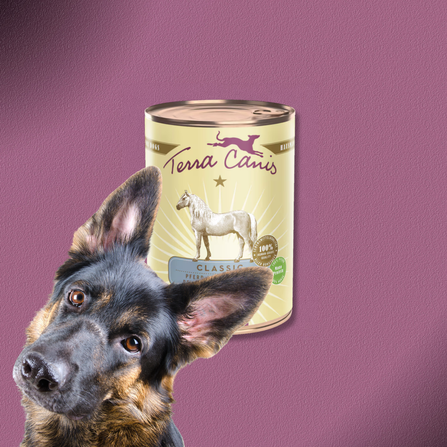 6x400g Terra Canis Pferd mit Amaranth, Pfirsich & Roter Beete