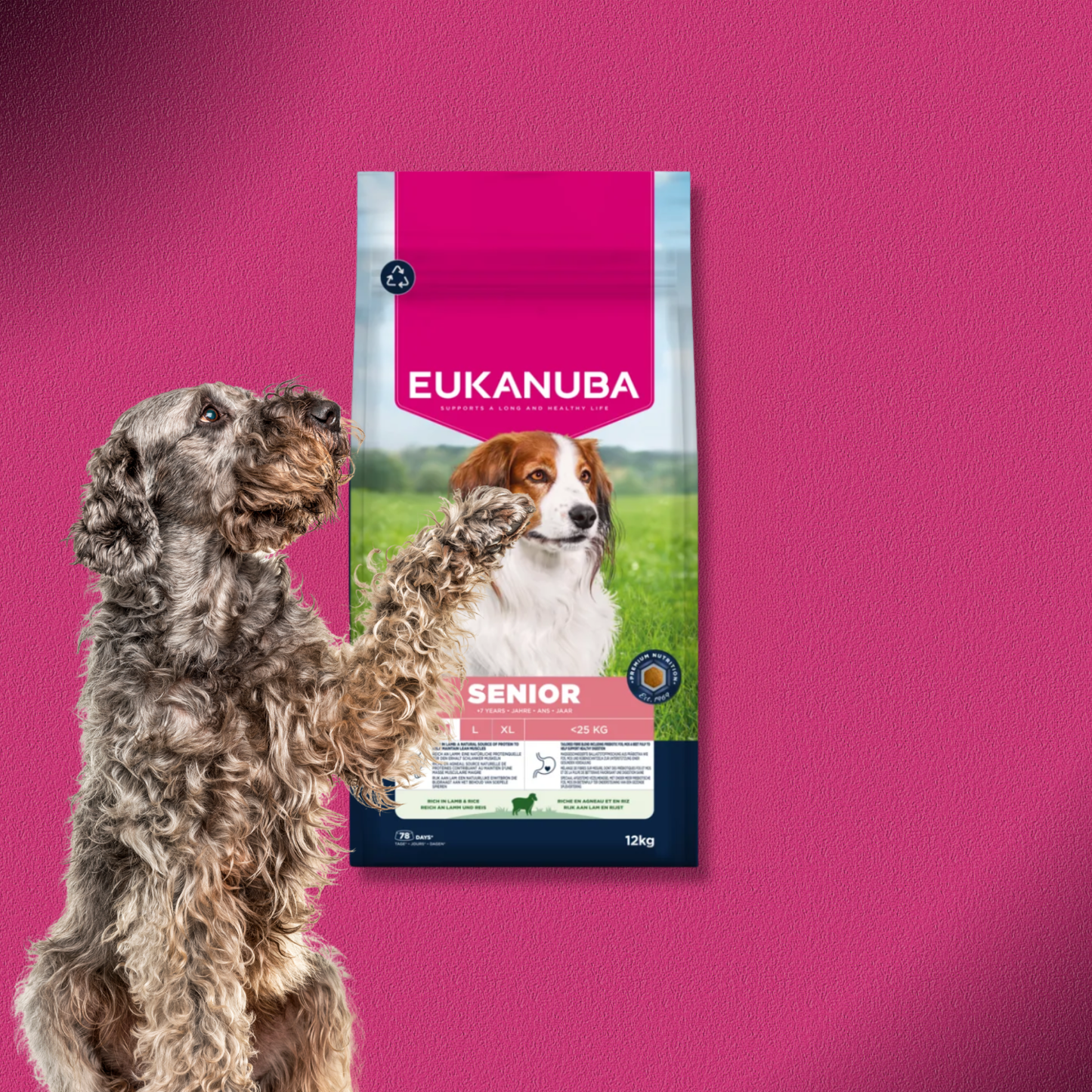 2x12kg Eukanuba Premium Nutrition Senior Small & Medium Breed Lamm & Reis