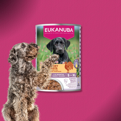 30x400g Eukanuba Puppy Reich an Pute mit Karotten