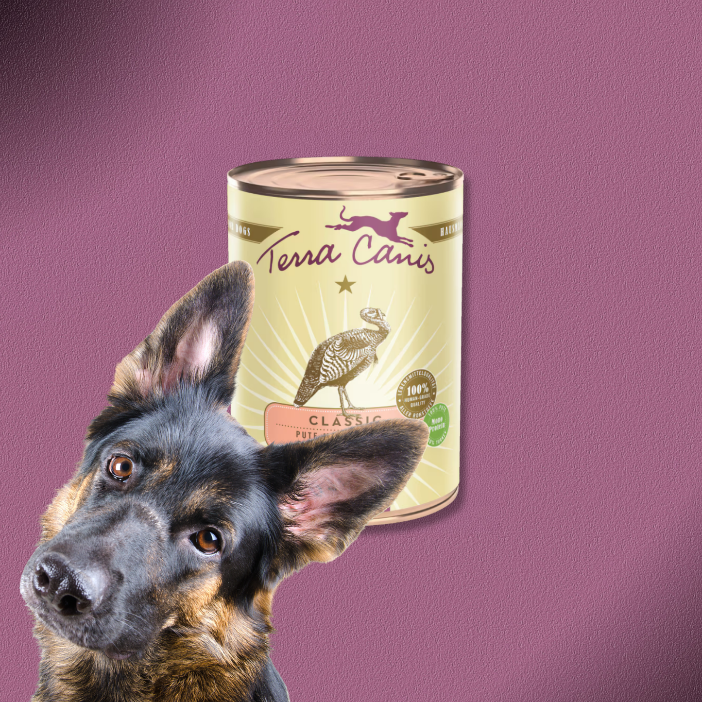 6x400g Terra Canis Pute mit Brokkoli, Birne & Kartoffeln