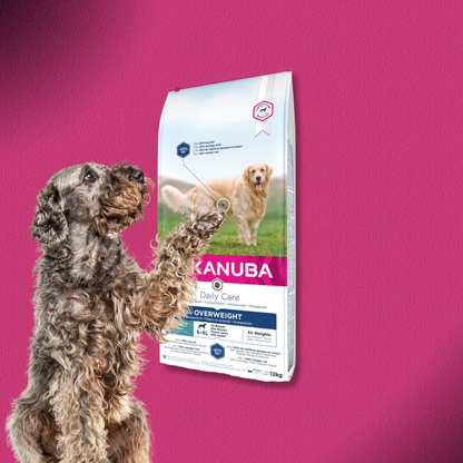 2x12kg EUKANUBA Trockenfutter Hund Daily Care Übergewichtig