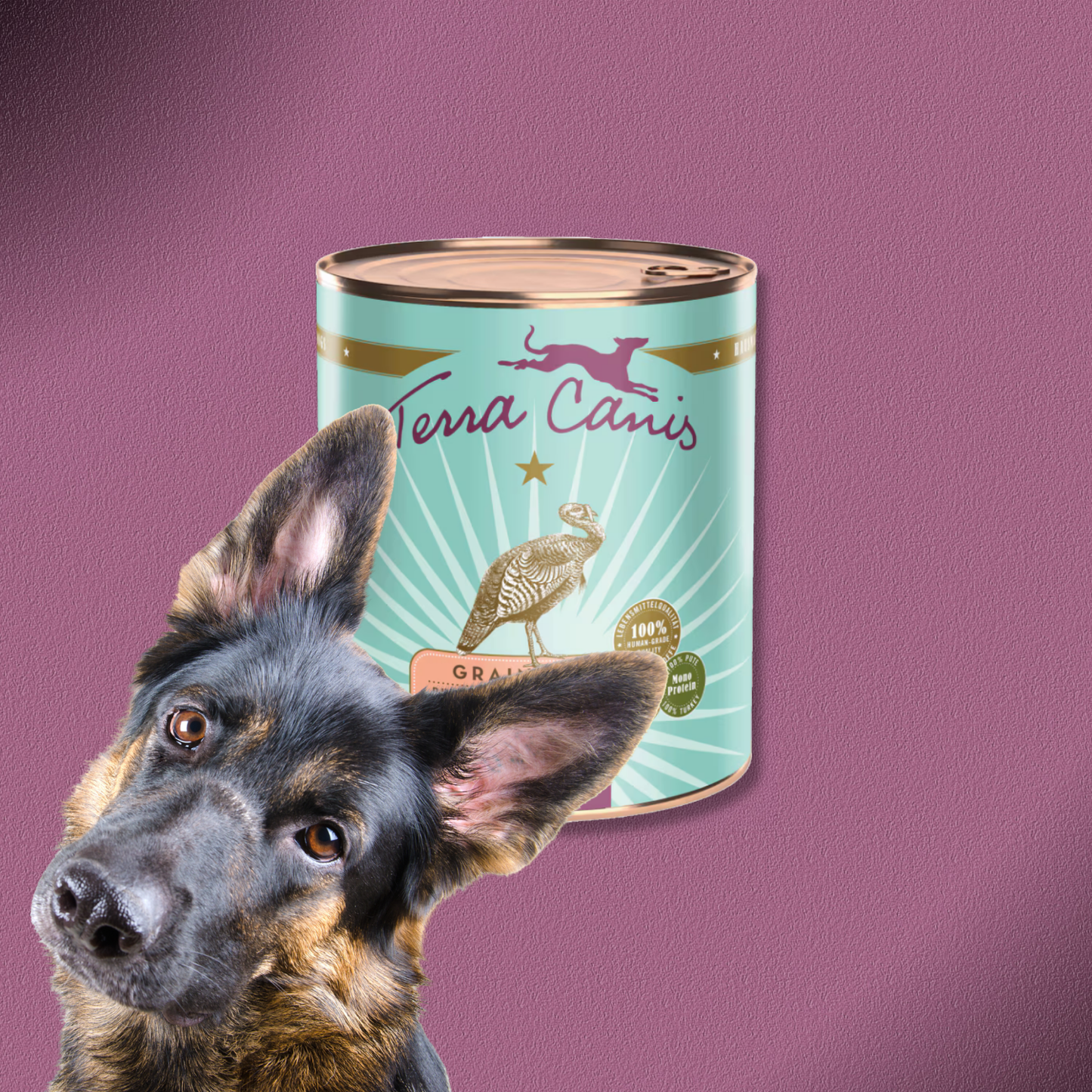 6x800g Terra Canis Grain-Free - Pute mit Sellerie, Kürbis & Brunnenkresse