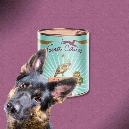 6x800g Terra Canis Grain-Free - Pute mit Sellerie, Kürbis & Brunnenkresse