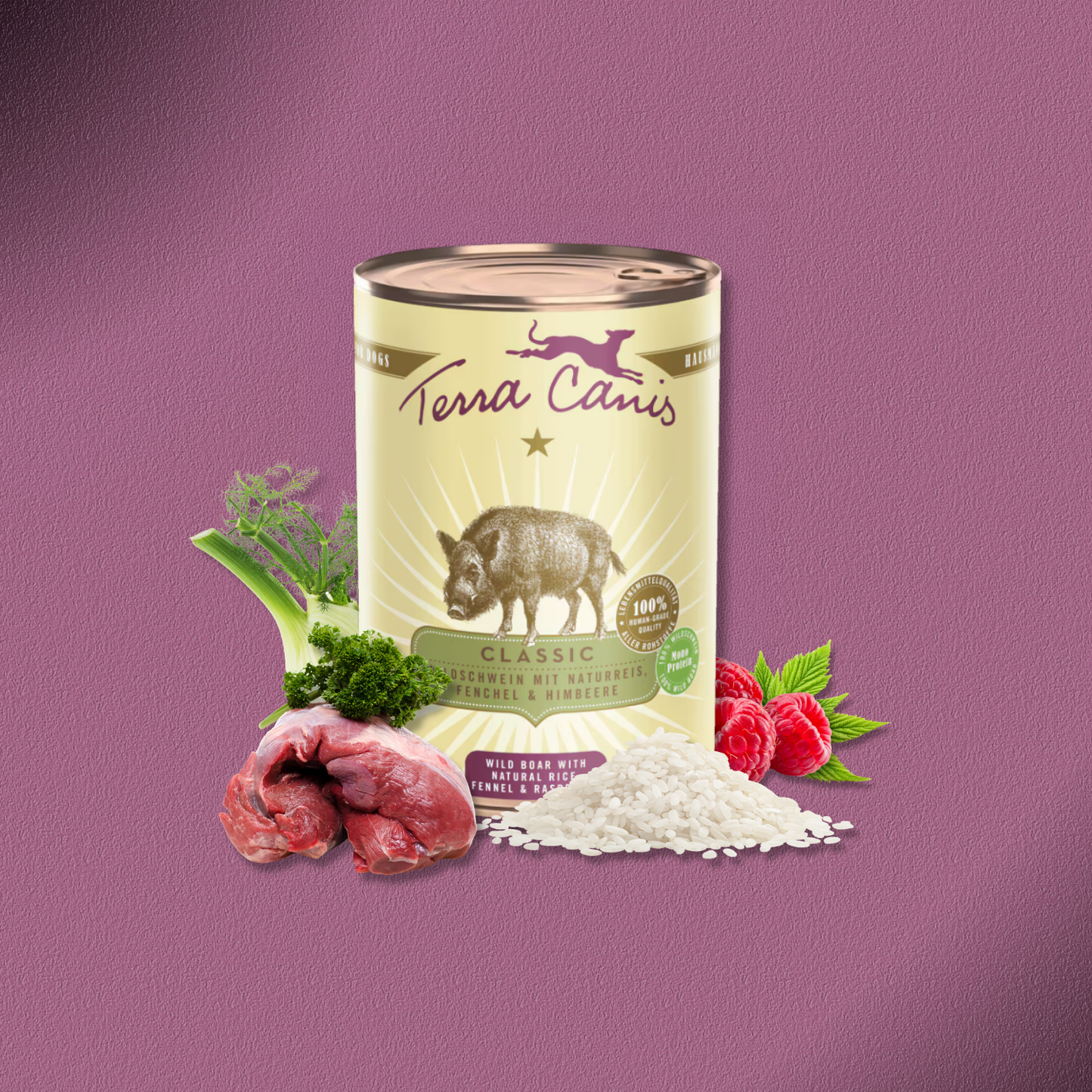 6x400g Terra Canis Wildschwein mit Naturreis, Fenchel & Himbeeren