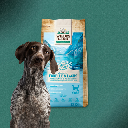 2x12kg Wildes Land Adult Lamm & Lachs mit Kartoffel