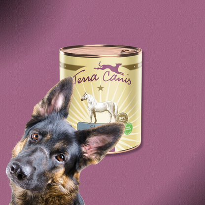 6x800g Terra Canis Classic Pferd mit Amaranth, Pfirsich & Roter Beete