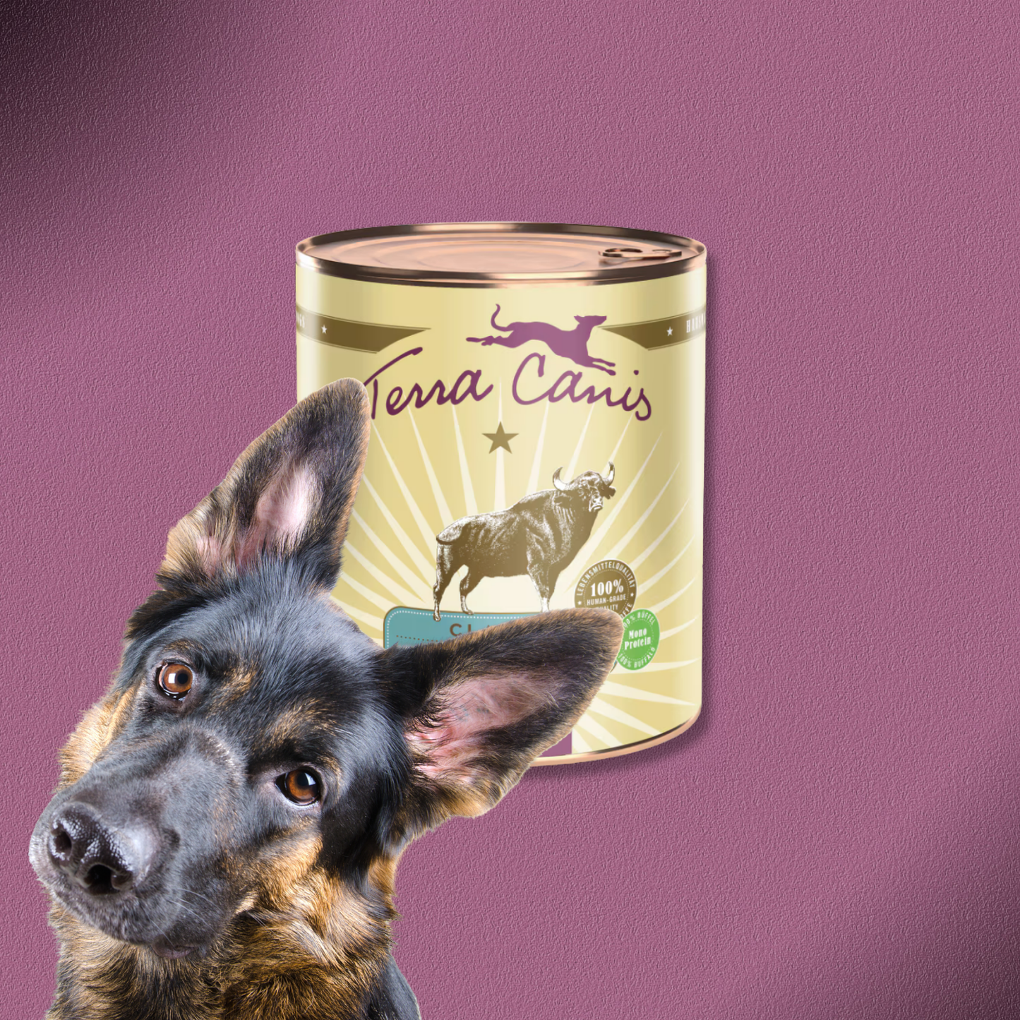 6x800g Terra Canis Classic Büffel mit Hirse, Tomaten & Papaya