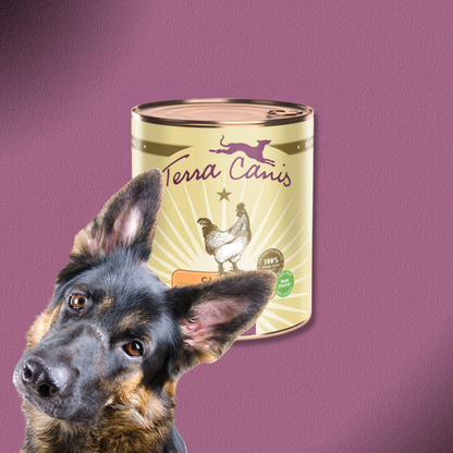 6x800g Terra Canis Classic Huhn mit Tomate, Amaranth & Basilikum