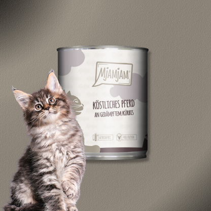 24x800g MjAMjAM köstliches Pferd an gedämpftem Kürbis
