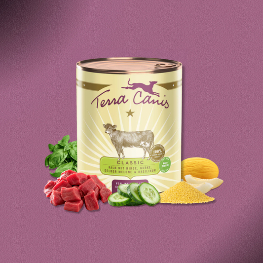 6x800g Terra Canis Classic Kalb mit Hirse, Gurke, gelber Melone & Basilikum