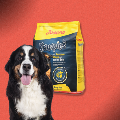 10x900g Knuspies - Der Knusper Snack mit zarter Ente