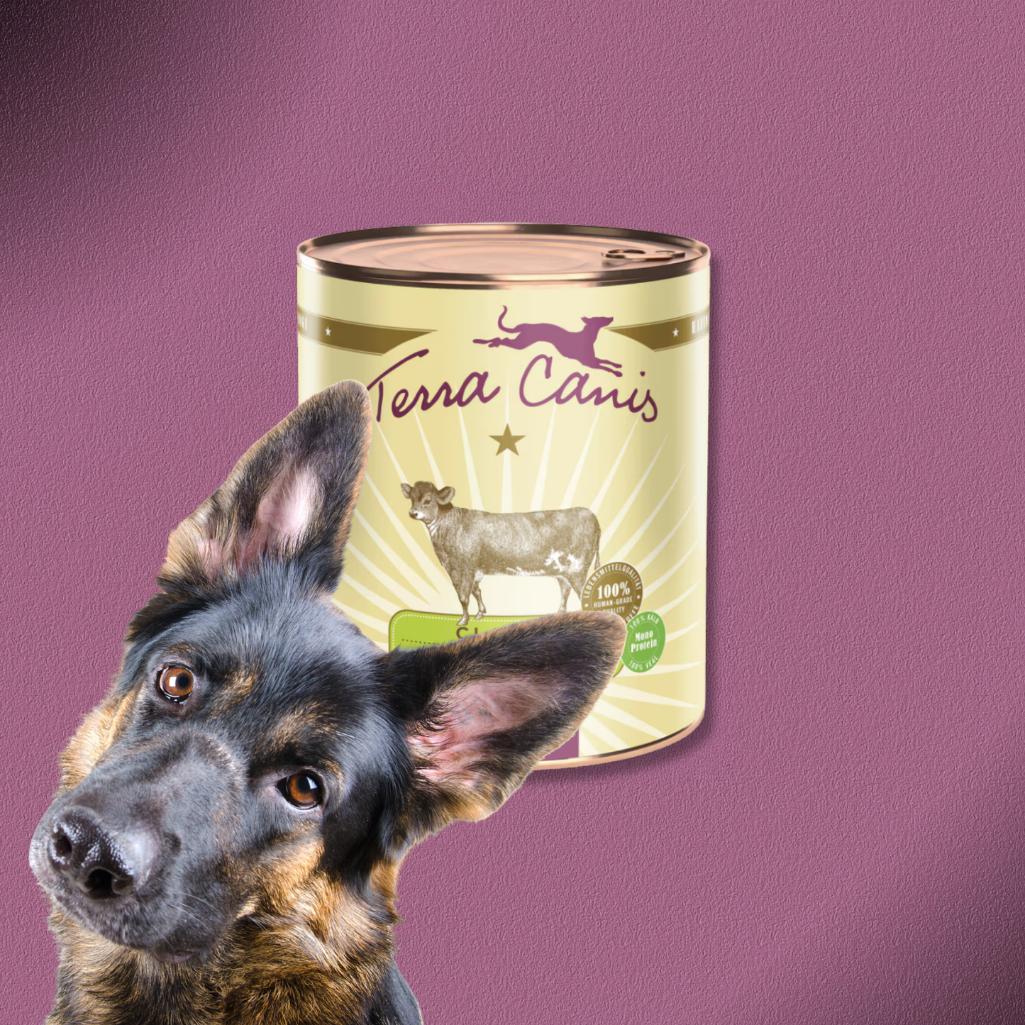 6x800g Terra Canis Classic Kalb mit Hirse, Gurke, gelber Melone & Basilikum