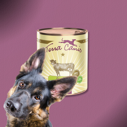 6x800g Terra Canis Classic Kalb mit Hirse, Gurke, gelber Melone & Basilikum