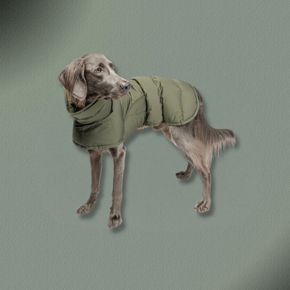 Cloud7 Hundemantel Everest Light Olive Größe 9