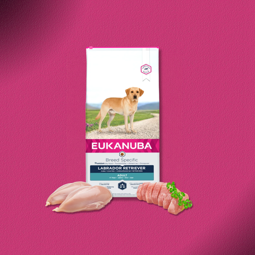 2x12kg Eukanuba Adult Breed Specific Labrador Retriever