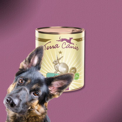 6x800g Terra Canis Classic Kaninchen mit Zucchini, Amaranth & Kerbel