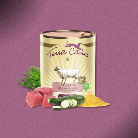 6x800g Terra Canis Classic Lamm mit Zucchini, Hirse & Dill