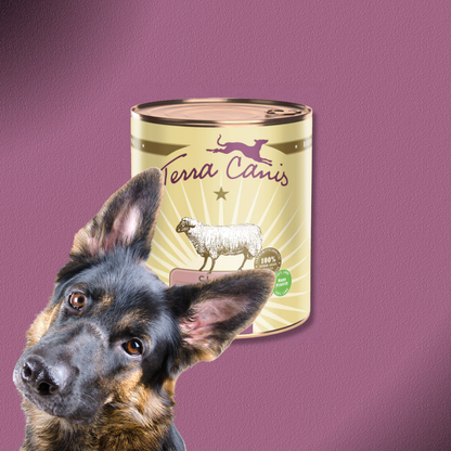 6x800g Terra Canis Classic Lamm mit Zucchini, Hirse & Dill