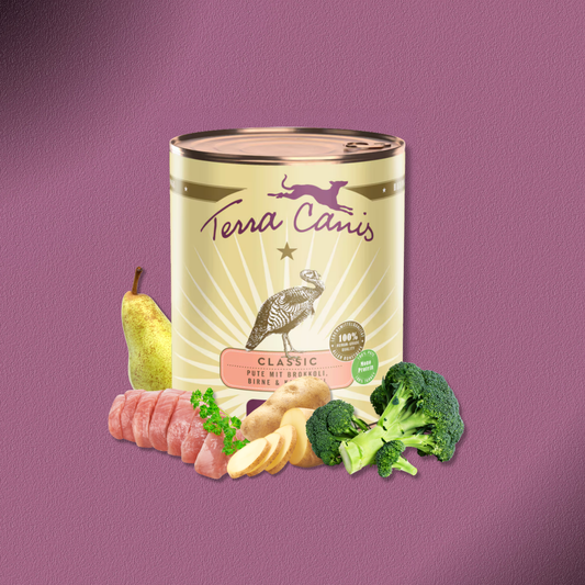 6x800g Terra Canis Classic Pute mit Brokkoli, Birne & Kartoffeln