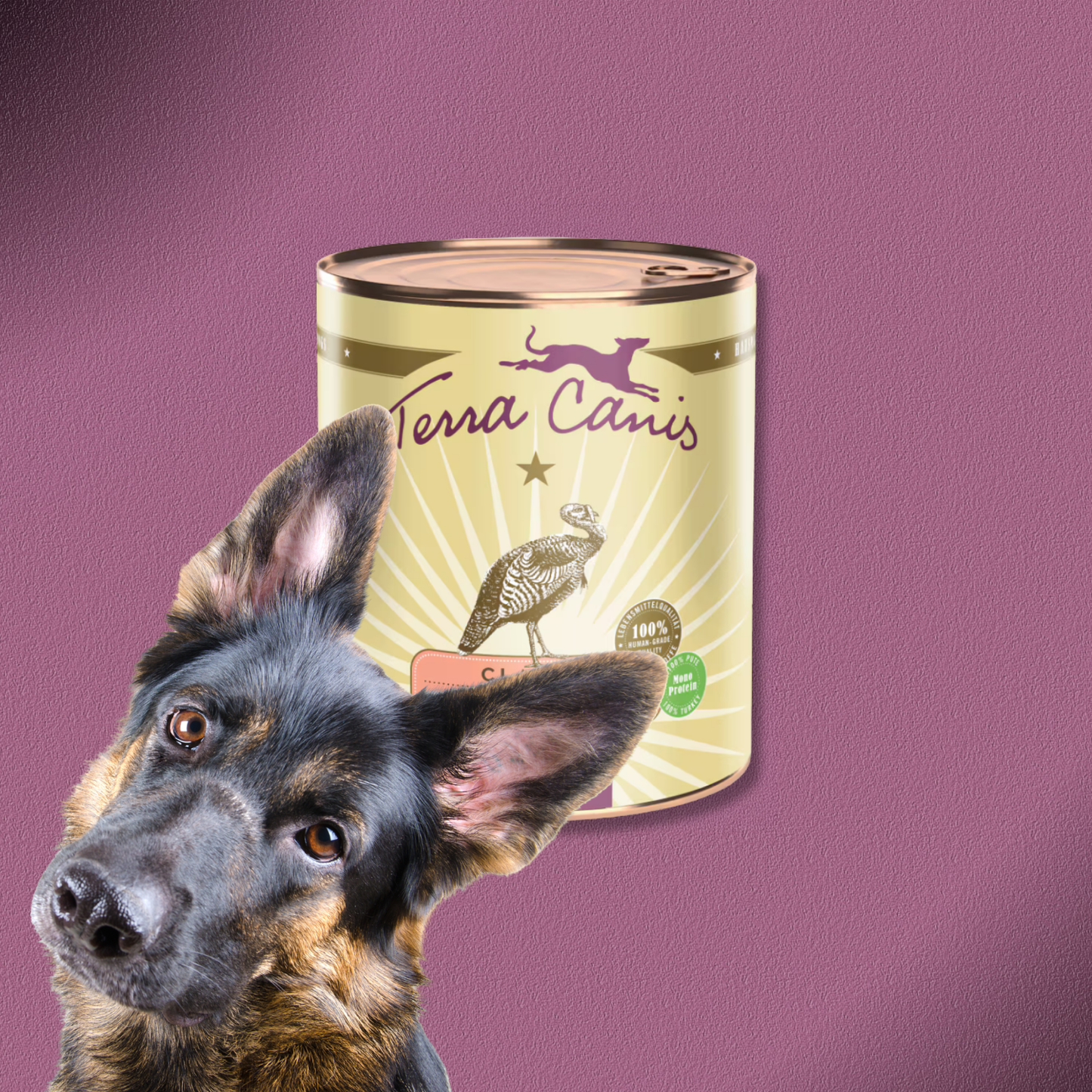 6x800g Terra Canis Classic Pute mit Brokkoli, Birne & Kartoffeln