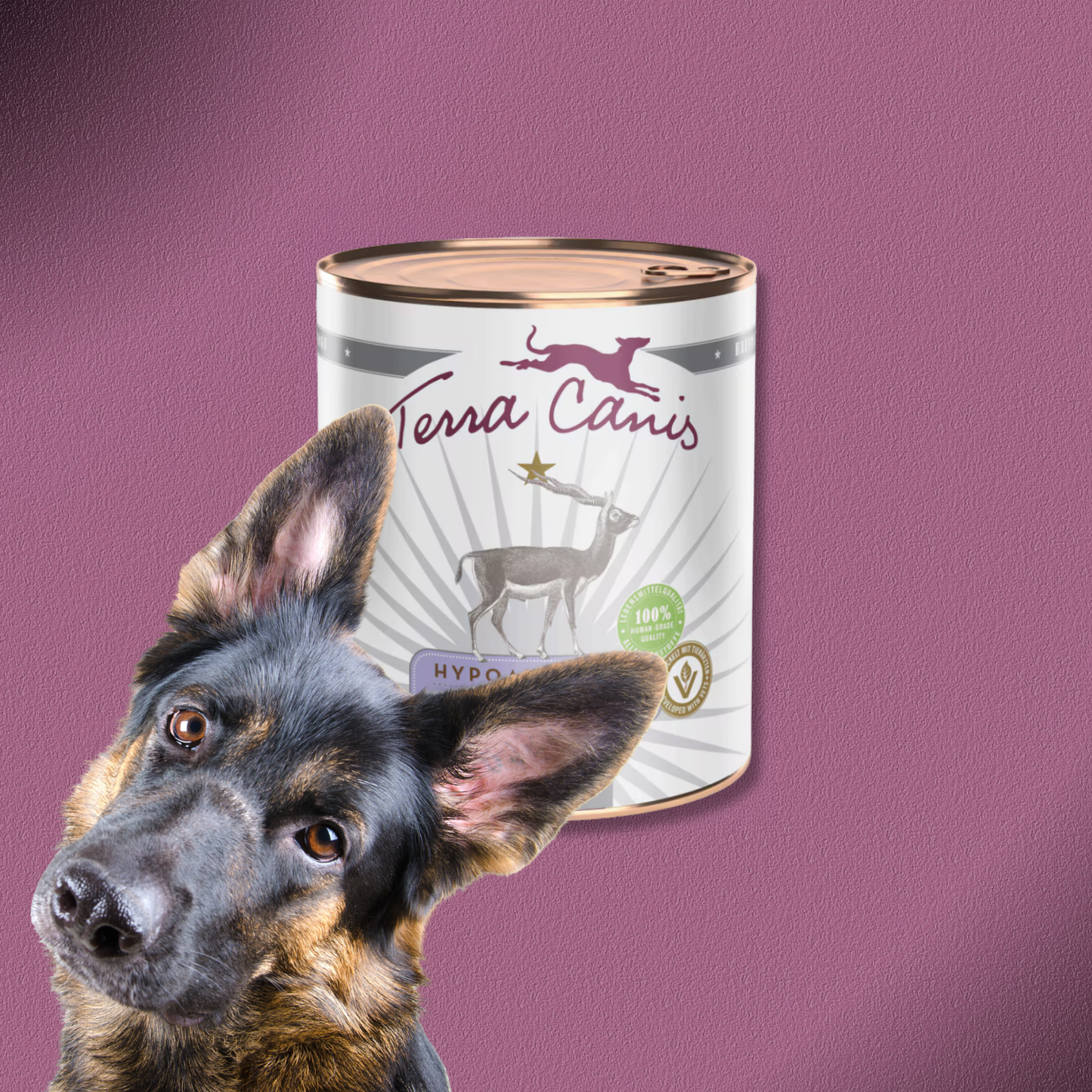 6x800g Terra Canis Hypoallergen Antilope mit Kartoffel
