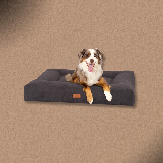 Knuffelwuff orthopädisches Hundebett aus Velours mit Handwebcharakter Sofia
