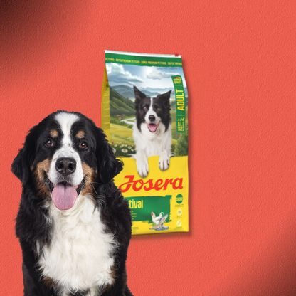 2x12,5kg Josera Adult Festival