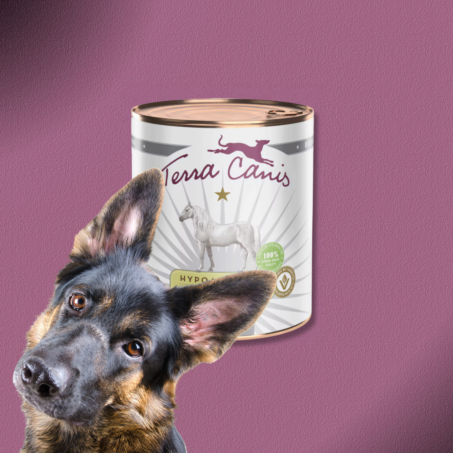 6x800g Terra Canis Hypoallergen Pferd mit Topinambur