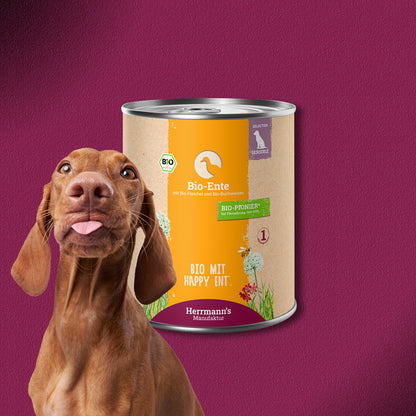 30x800g Herrmann’s Bio-Ente mit Bio-Fenchel & Bio-Buchweizen