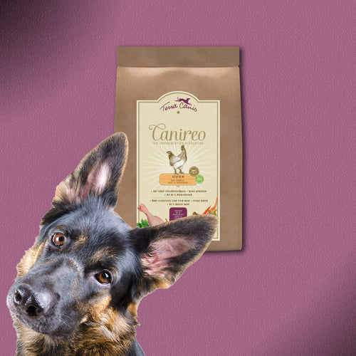 3x5kg Terra Canis Canireo Huhn mit Zucchini, Apfel & Kokos