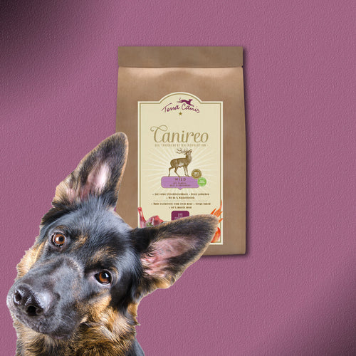 3x5kg Terra Canis Canireo Wild mit Gemüse & Beeren