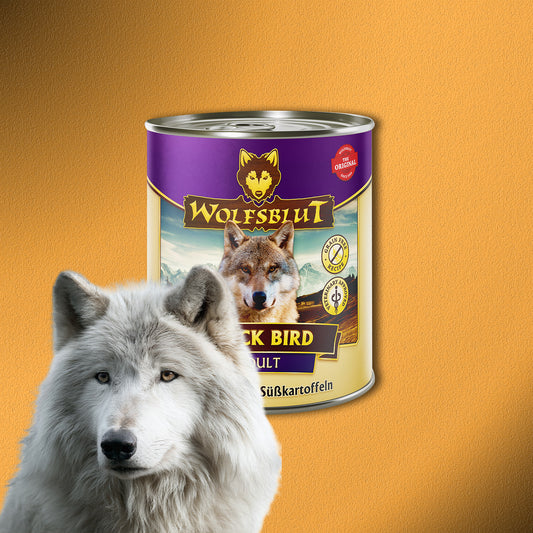 30x800g Wolfsblut Black Bird Adult – Truthahn mit Süßkartoffeln