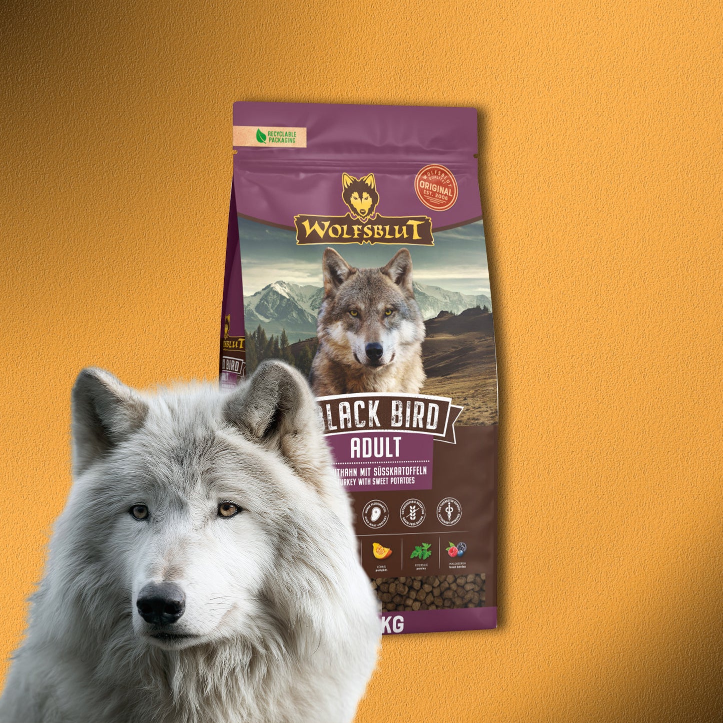 2x12,5kg Wolfsblut Black Bird Adult – Truthahn mit Süßkartoffeln, Trockenfutter