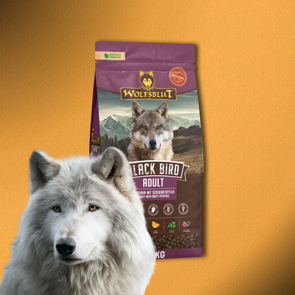 2x12,5kg Wolfsblut Black Bird Adult – Truthahn mit Süßkartoffeln, Trockenfutter