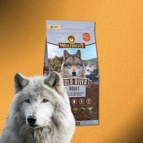 2x12,5kg Wolfsblut Cold River Adult Trockenfutter