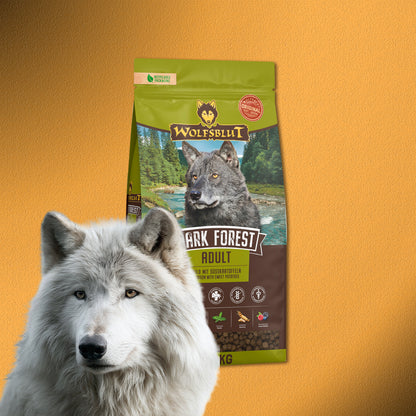 2x12,5kg Wolfsblut Dark Forest Adult Trockenfutter