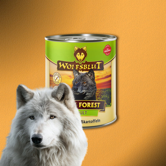 30x800g Wolfsblut Dark Forest Adult Nassfutter