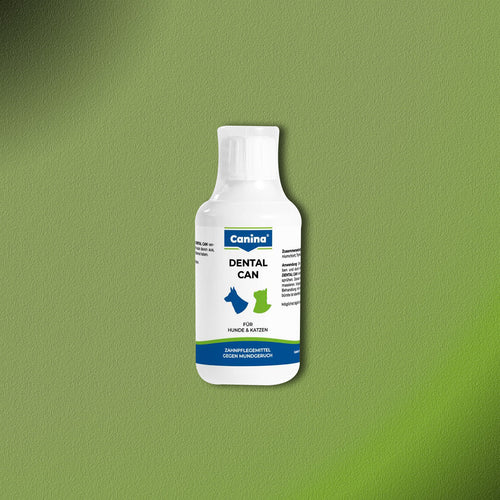 Canina Dental Can