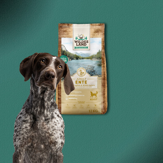 2x12kg Wildes Land Adult Ente mit Kartoffeln & Wildkräutern