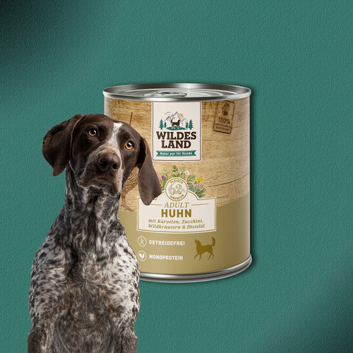 30x800g Wildes Land Adult Huhn mit Karotten, Zucchini, Wildkräutern & Distelöl