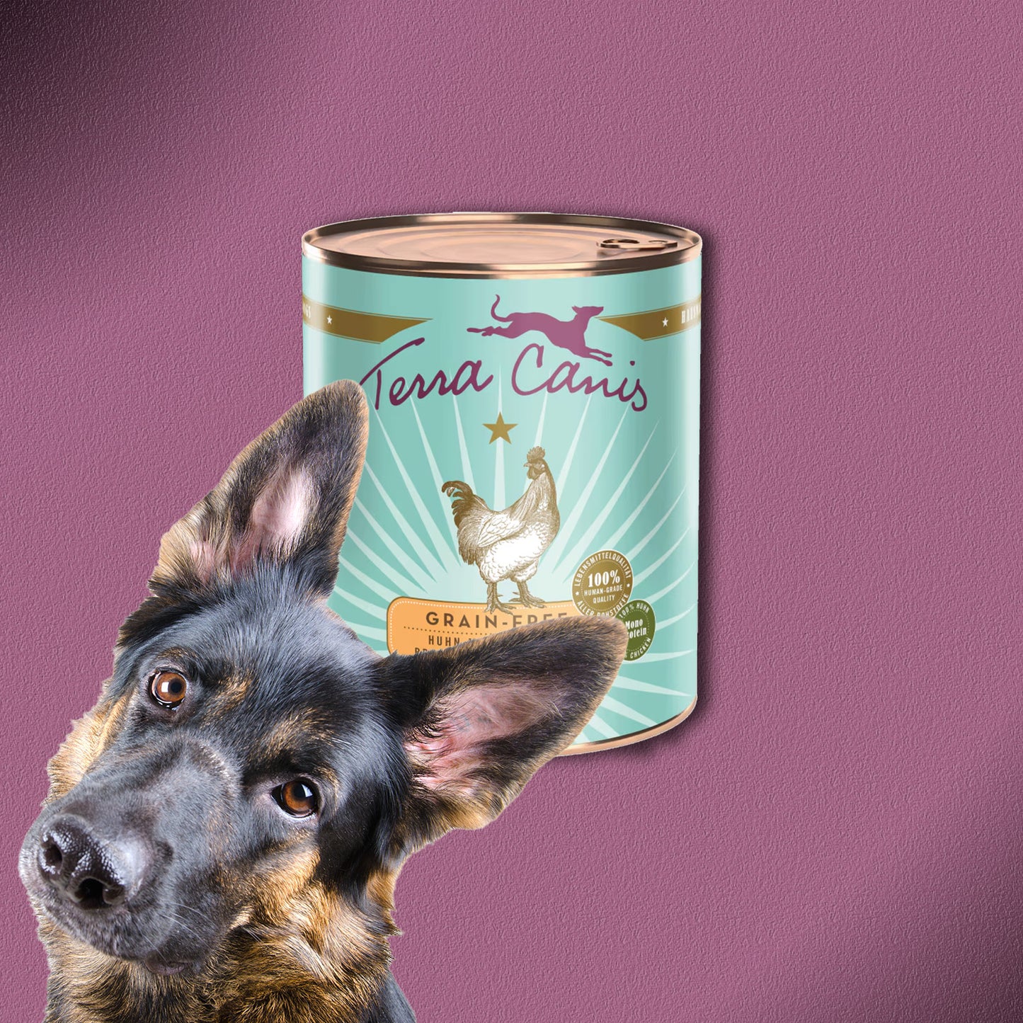 30x800g Terra Canis Grain-Free Huhn mit Pastinake, Brombeere & Löwenzahn