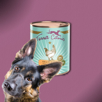 30x800g Terra Canis Grain-Free Huhn mit Pastinake, Brombeere & Löwenzahn