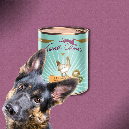 30x800g Terra Canis Grain-Free Huhn mit Pastinake, Brombeere & Löwenzahn