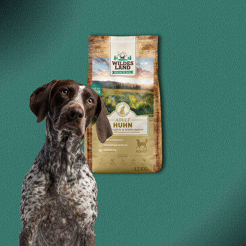 2x12kg Wildes Land Adult Huhn mit Kartoffeln & Wildkräutern