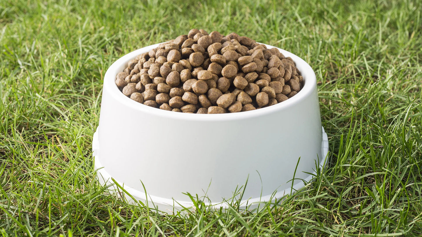 2x12,5kg Limnea BestCare Pferd und Kartoffel