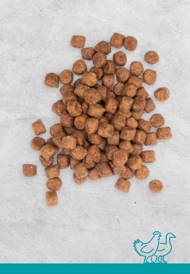 10x100g Vet Concept Knabberwölkchen Geflügel