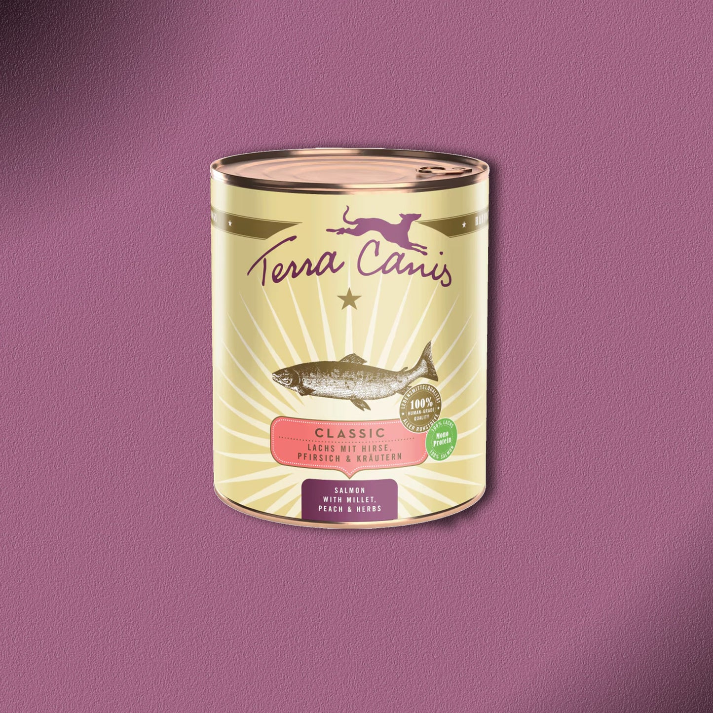 30x800g Terra Canis Classic Lachs mit Hirse, Pfirsich & Kräutern