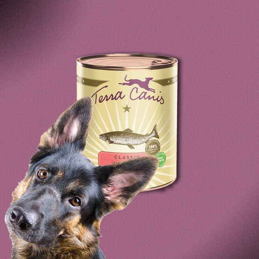 30x800g Terra Canis Classic Lachs mit Hirse, Pfirsich & Kräutern